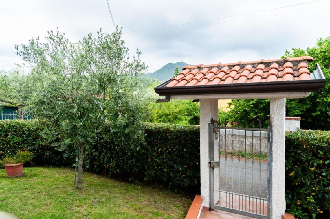 Ortonovo B&B Il Girasole المظهر الخارجي الصورة